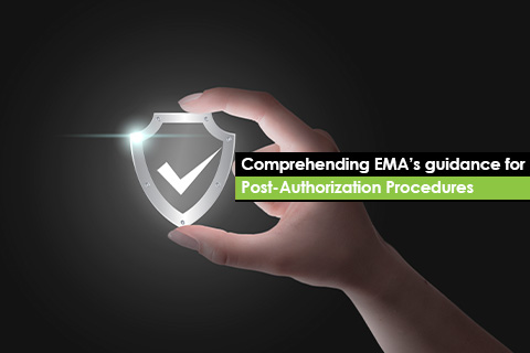 Comprehending EMA’s guidance for Post-Authorization Procedures