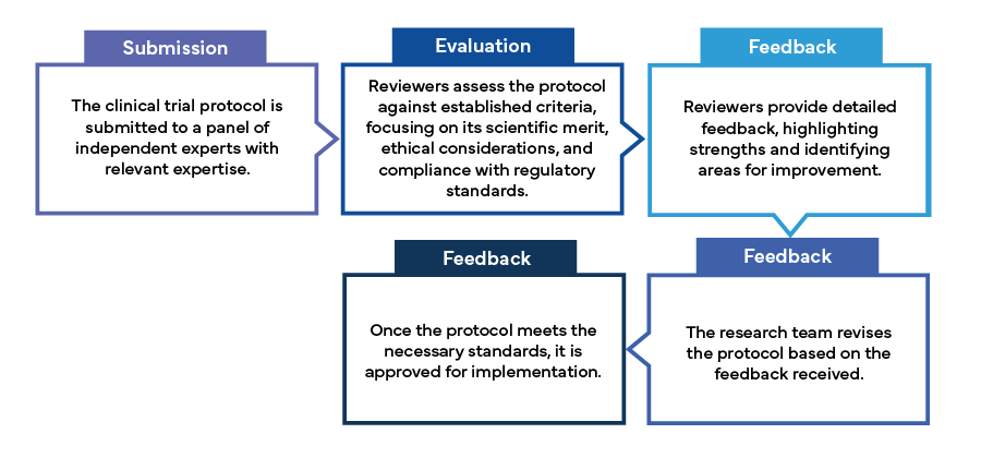 The Importance of Peer Review in Clinical Trial Protocol Development