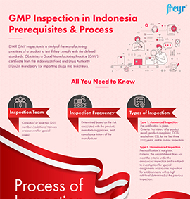 GMP Inspection in Indonesia Prerequisites &amp; Process