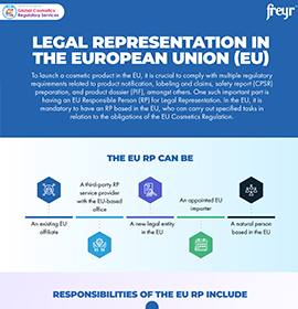 Legal Representation in the European Union (EU)