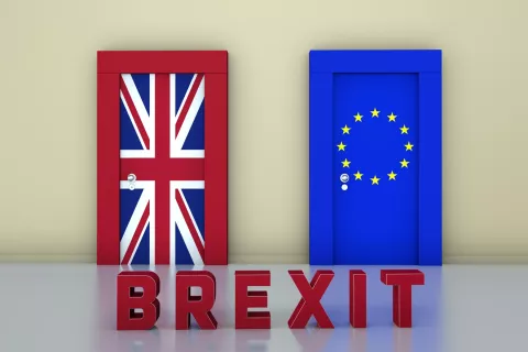 Brexit and its Possible Impact on the UK Life Sciences Industry