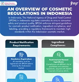 An Overview of Cosmetic Regulations in Indonesia