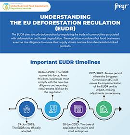 Understanding the EU Deforestation Regulation (EUDR)